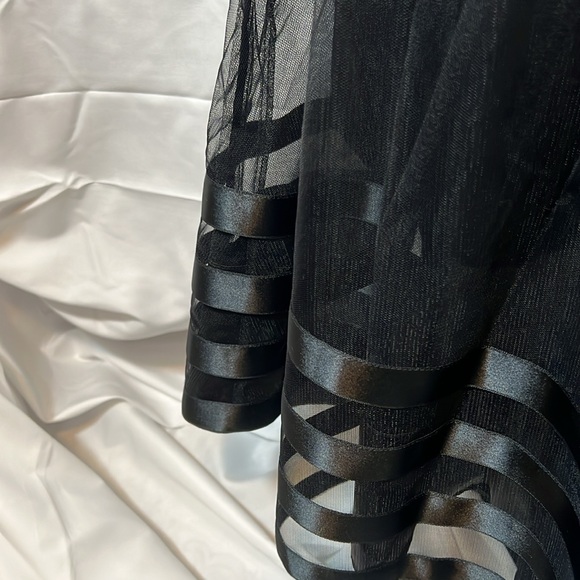 Vintage Armani Tulle and Ribbon Skirt Size 10 (30” waist) - Picture 3 of 6